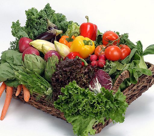 理解五大理念 引领畜牧业发展|3377官网(图2) 理解五大理念 引领畜牧业发展|3377官网(图2)