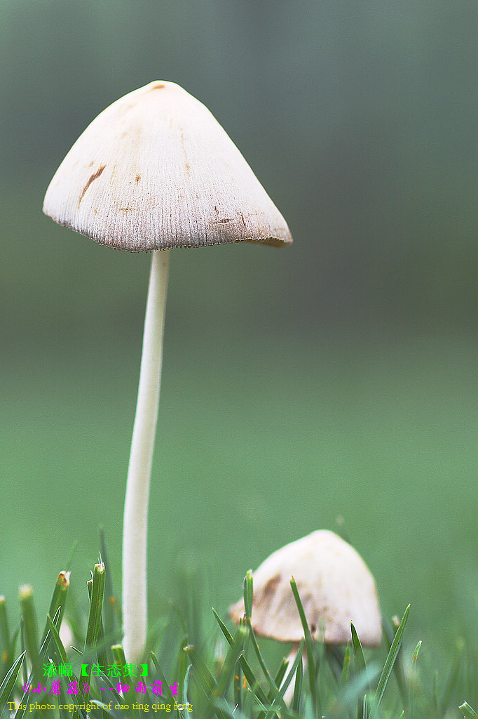 双流安康家园10年间培养出282个大学生_3377体育(图1) 双流安康家园10年间培养出282个大学生_3377体育(图1)