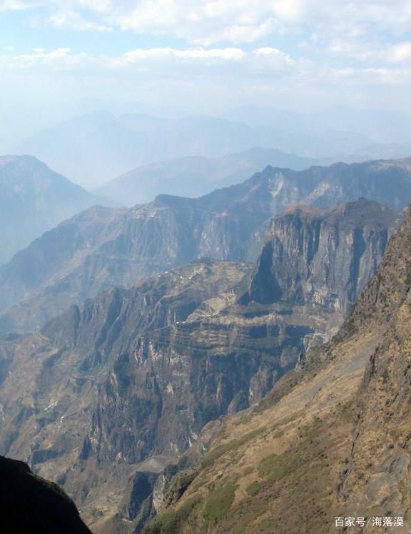 3377体育：肉价连续三个月上涨养殖户、肉商:一年就等这一回(图3)