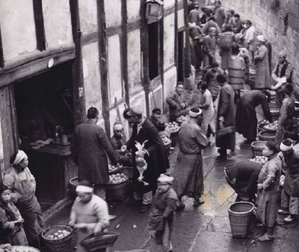 3377app|“我们需要怎样的职业教育?”全国教育专家来宁探讨职教发展方向(图1) 3377app|“我们需要怎样的职业教育?”全国教育专家来宁探讨职教发展方向(图1)