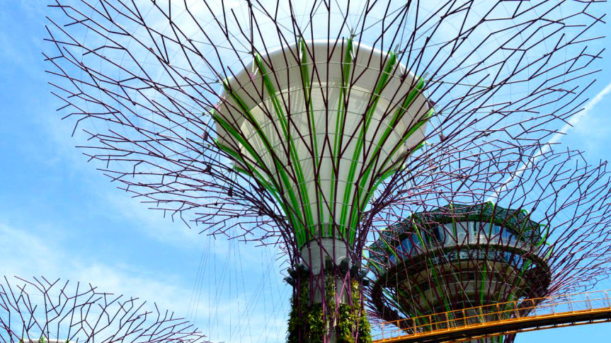 双流建校英语教研组开展手抄报评比活动-3377官网(图2) 3377体育