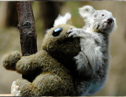 3377官网-4月18日H7N9禽流感病例高达83名(图3)