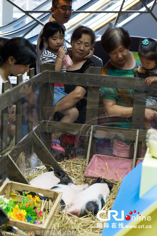 【3377体育】第五届畜牧博览会吸引投资24.5亿