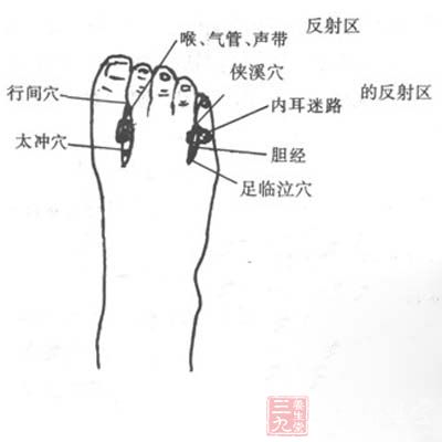 德国一动物园现H5N8型禽流感‘3377体育’(图2)