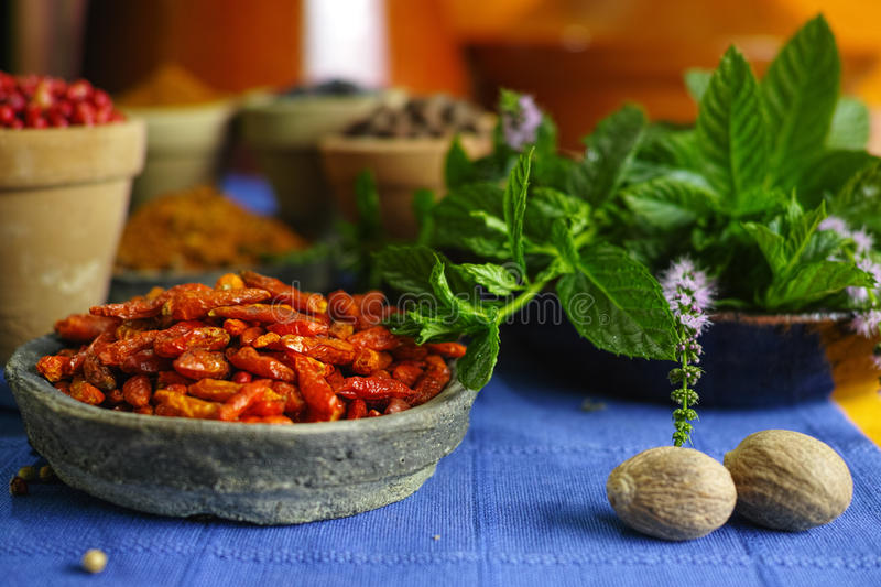 3377官网_海南省正式发布：外省籍学生可报考五年制高职(图2)