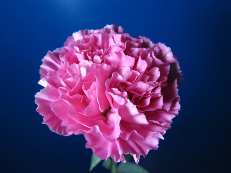 3377app-2016年南昌大学录取分数线(图2)