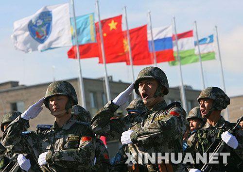 3377官网_“猪坚强”促鸡肉销量增加价格微涨