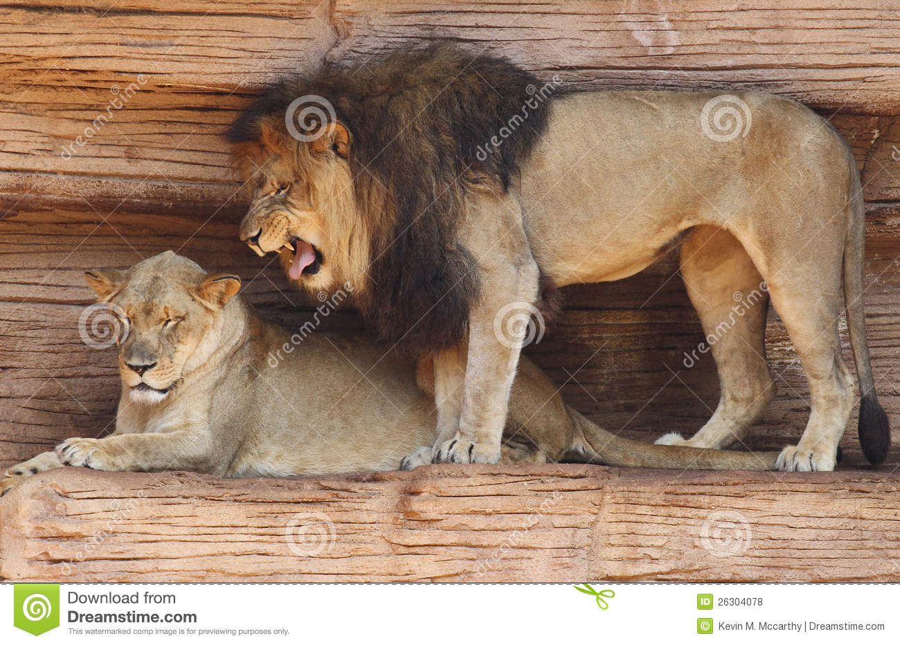 ‘3377官网’广佛肇中职双向招生三市分别拿100名额互招(图2) ‘3377官网’广佛肇中职双向招生三市分别拿100名额互招(图2)