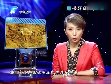 品亚洲美食节全球味道 广州亚洲美食节昨天举行吹风会_3377官网(图1) 3377官网