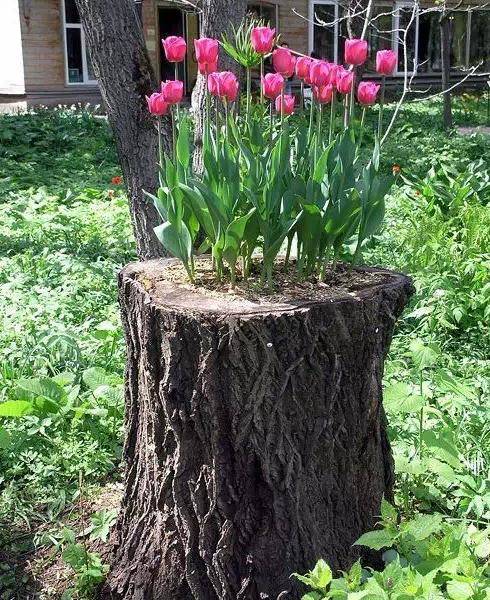 【3377官网】我校召开学风建设学生干部座谈会(图2)