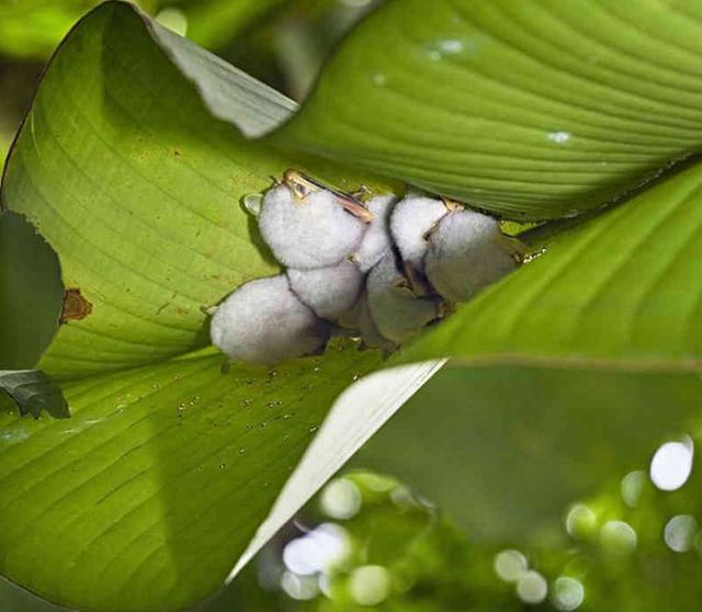 3377官网:2014年度畜牧行业十大关键词(图2) 3377体育