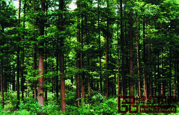 【3377app】福建执行中职生在校生学籍异动“一月一报”制(图2)