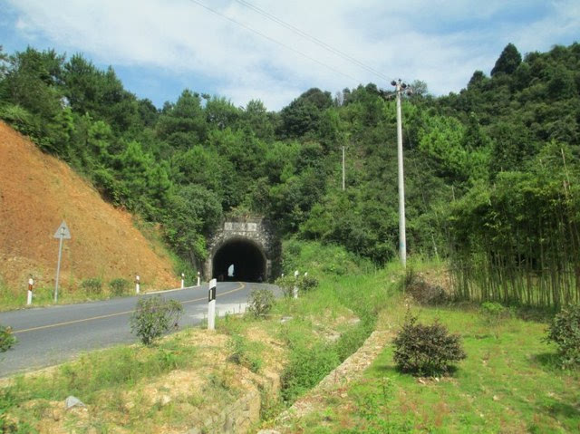 盘点2017年养猪行业关键词【3377官网】(图1) 3377体育