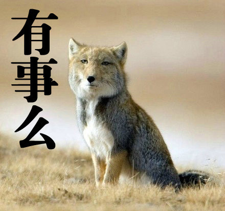 “3377app”微盟黄骏伟:产业互联网时代,微盟助力零售企业向数字化转型(图3) 3377体育