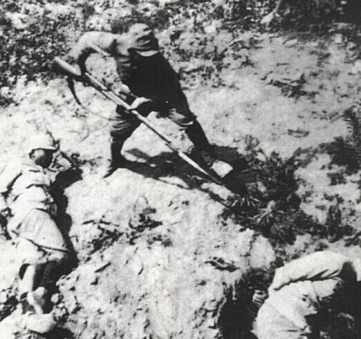 “3377app”潍坊:淡水鱼涨幅大,海鲜小涨(图3) 3377体育