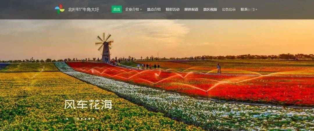 
就在今天！牛角大圩官方网站正式上线！“3377官网”(图4)