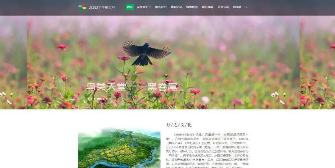 
就在今天！牛角大圩官方网站正式上线！“3377官网”(图6)