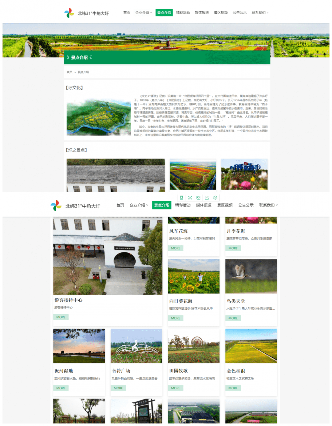 
就在今天！牛角大圩官方网站正式上线！“3377官网”(图8)