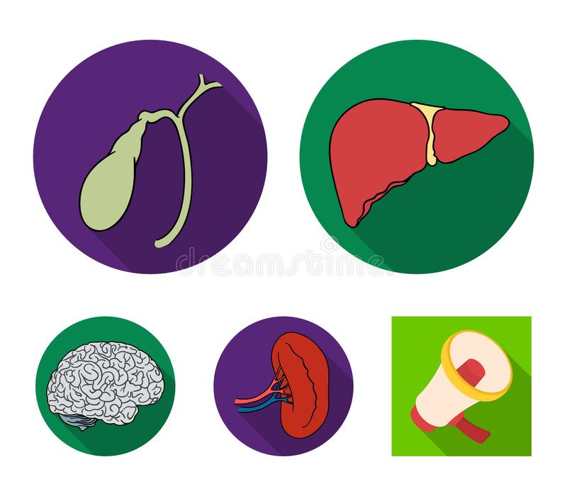 筑梦新东方,让梦想起航_3377app(图1) 3377体育