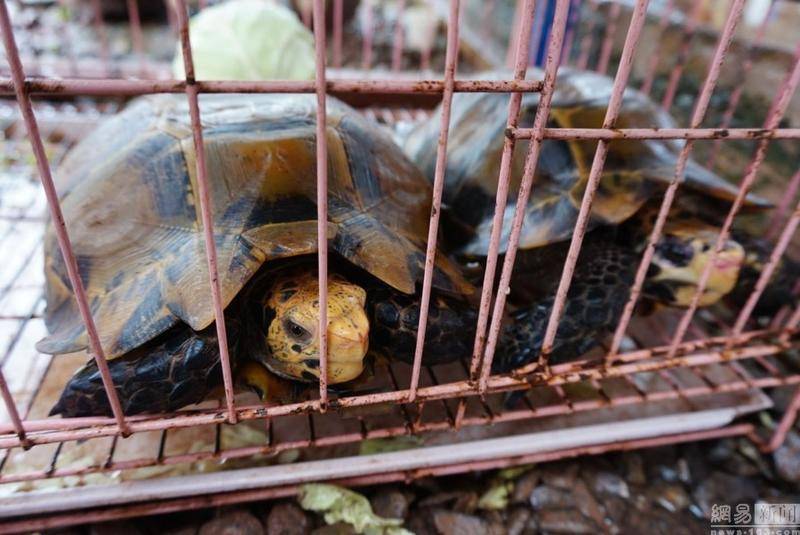 伊犁州职业教育五年培养近万名技师【3377app】(图1)