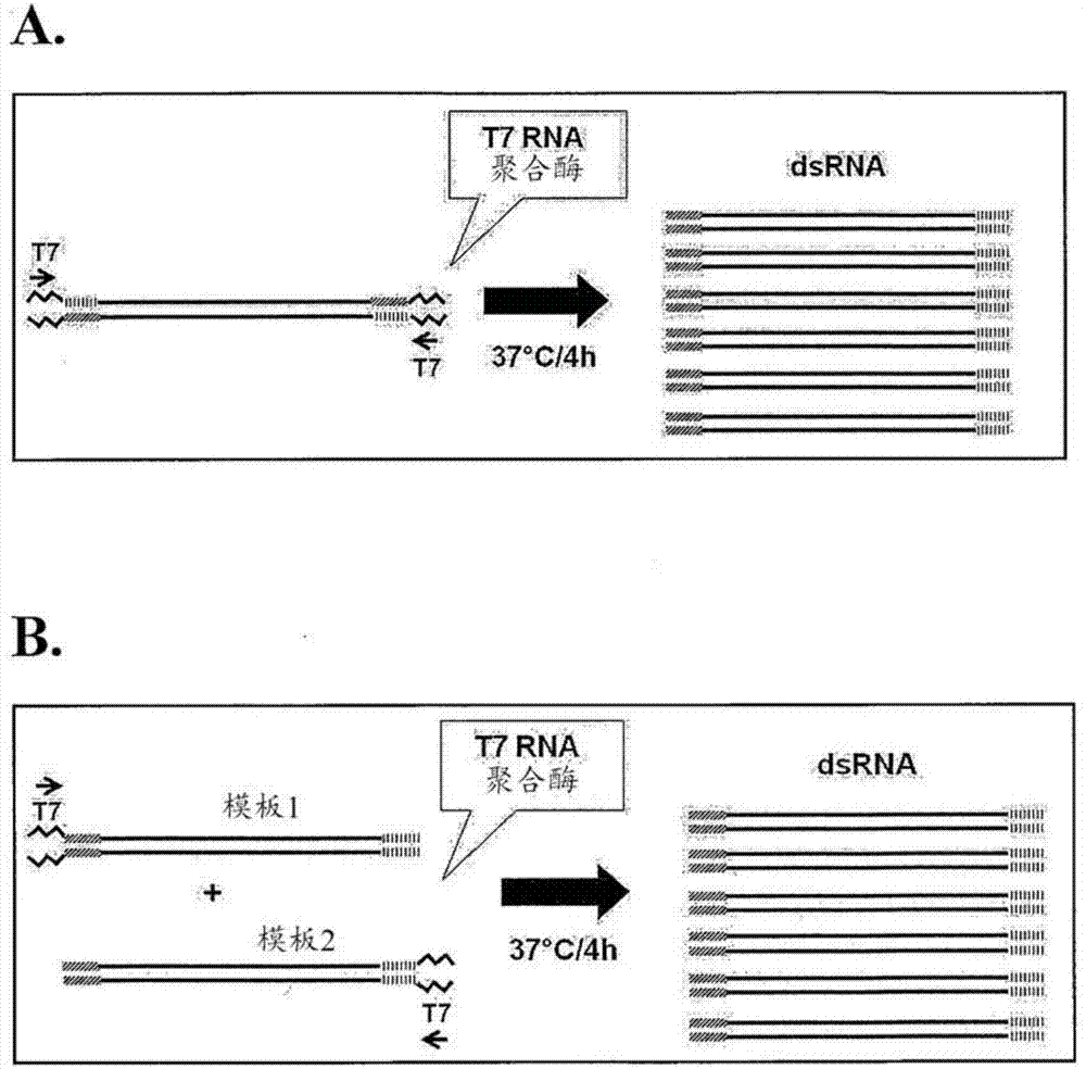 3377体育_湖南省扎根湖湘大地办好新时代职业教育(图4)