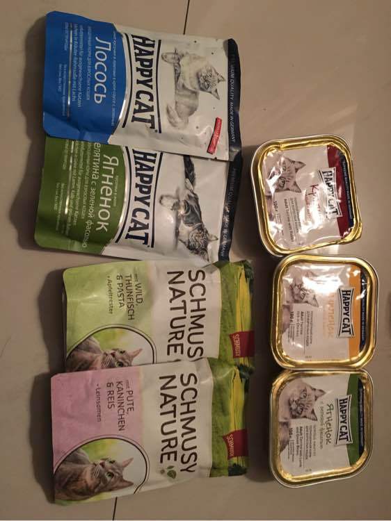 3377app-2018年德国成为中国最大的猪肉供应商(图3)