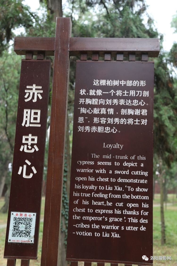 3377官网-商丘师范学院安排部署“查尽责除隐患保安全”活动(图2)